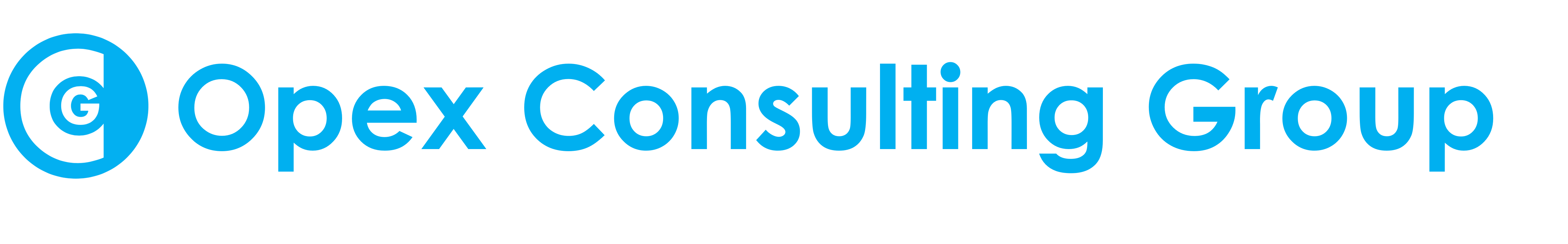 Opex Consulting Group